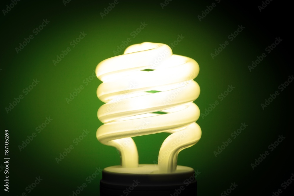 Light Bulb, Environmental Conservation, Green. Light Bulb, Environmental Conservation, Green.