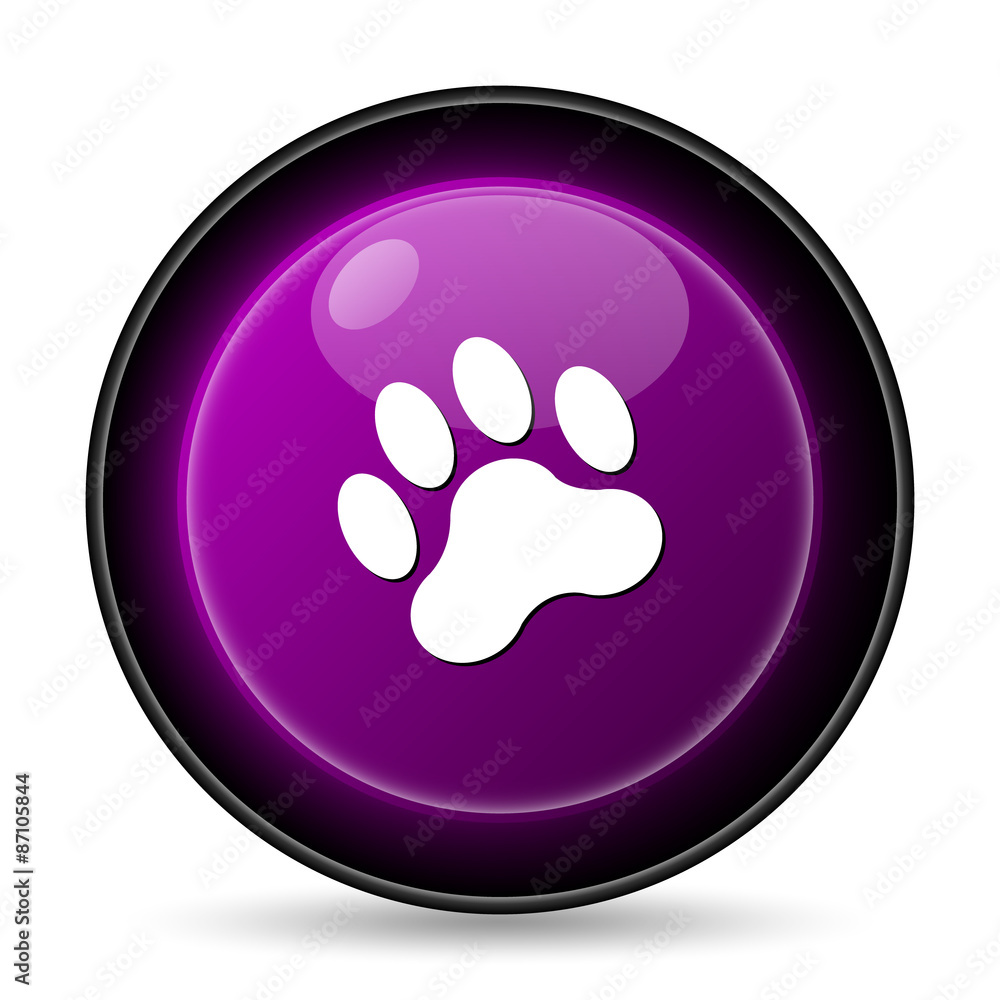 Paw print icon Paw print icon