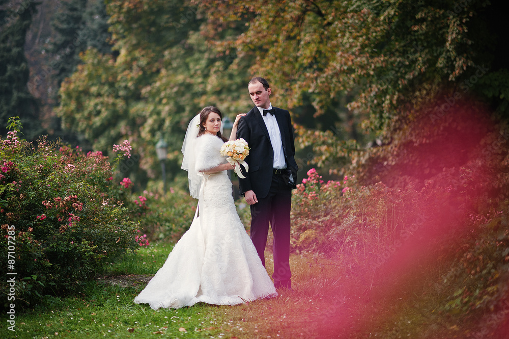 Young elegant and hearty wedding couple in love on streets of Kr