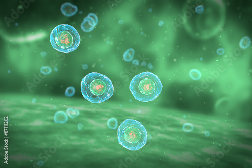 Cell Division Stages of Mitosis