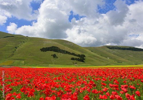 Castelluccio di Norcia