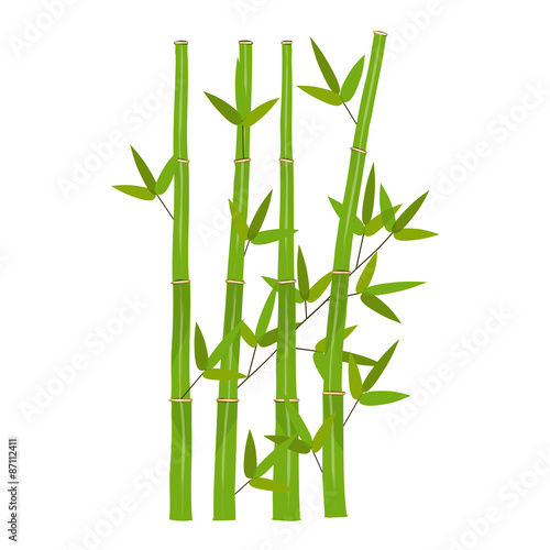 Colorful Stems and Bamboo Leaves. Vector Illustration.