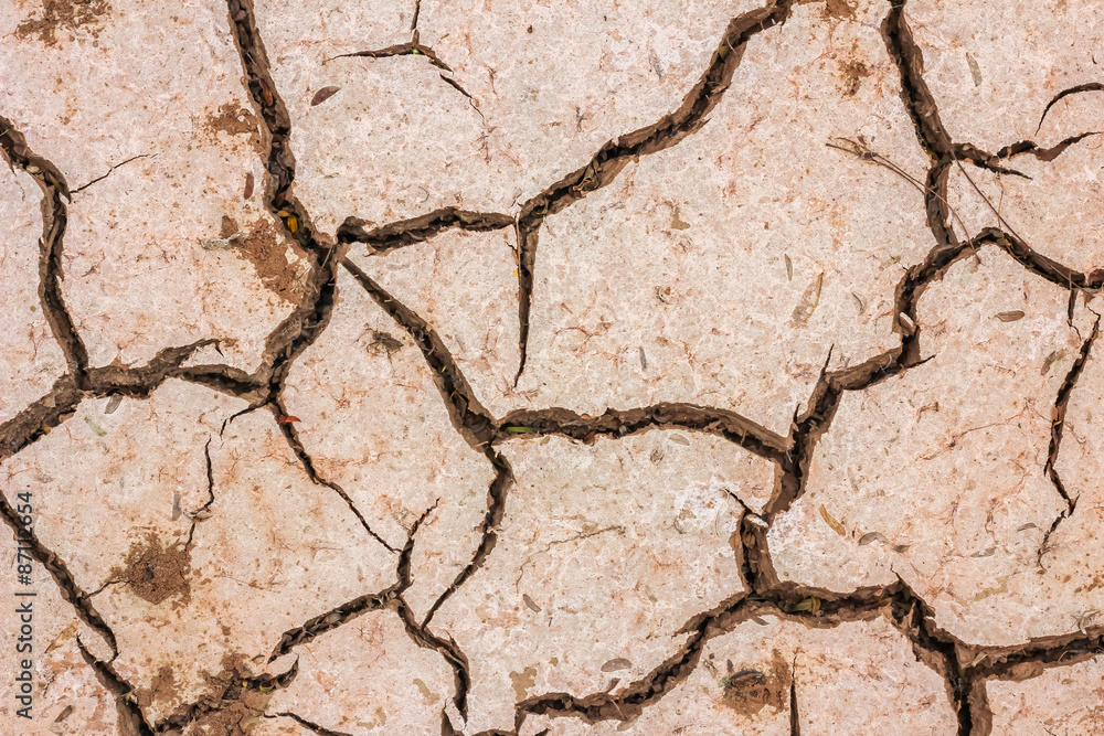 Obraz premium dry soil cracked earth texture