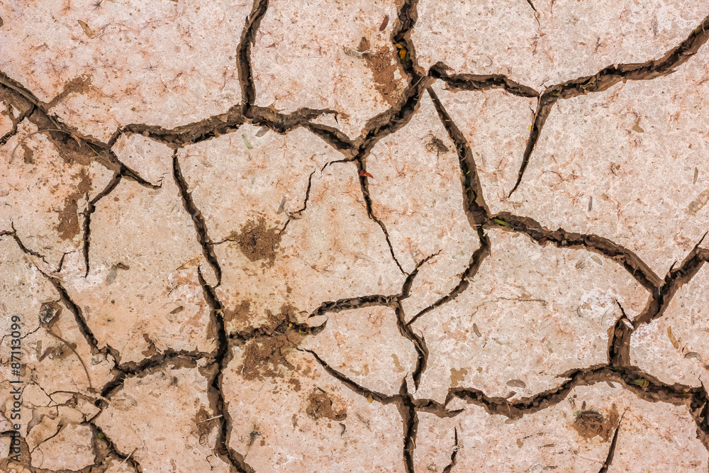 Obraz premium dry soil cracked earth texture