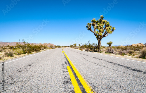 Joshua Tree National Park photo