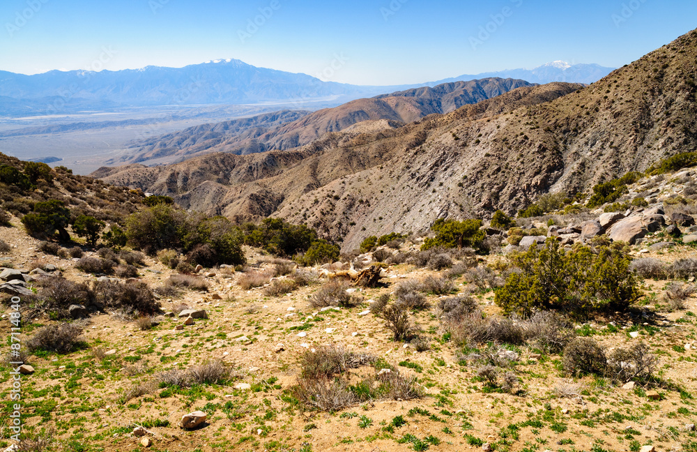 Joshua Tree National Park Joshua Tree National Park
