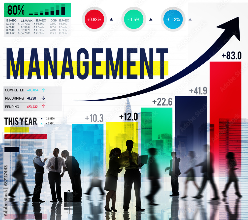 Management Organization Leadership Managing Concept Management Organization Leadership Managing Concept