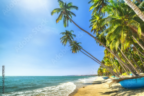 Fototapeta Naklejka Na Ścianę i Meble -  Beachside coconut sunny summer day at the shore of Binh Thuan with gentle but feels peaceful, fun for the weekend