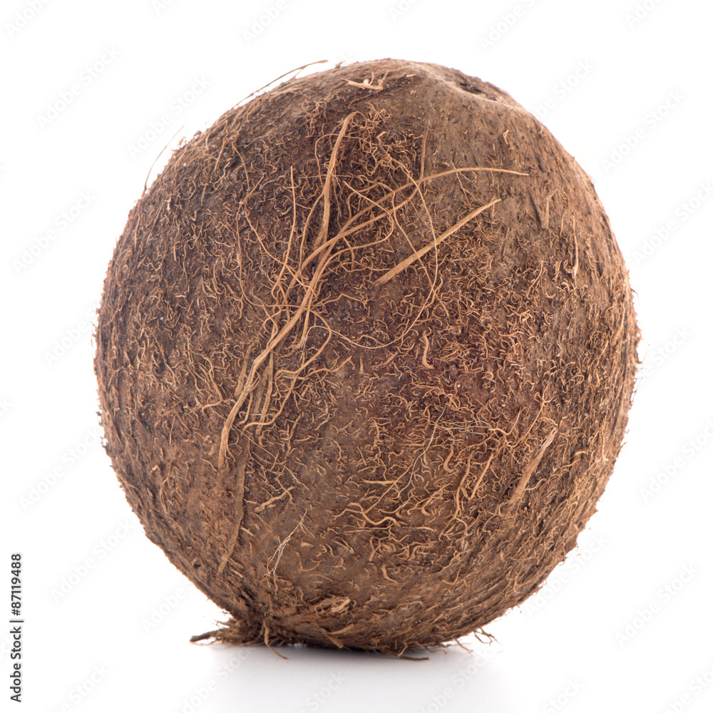 Coconut Coconut