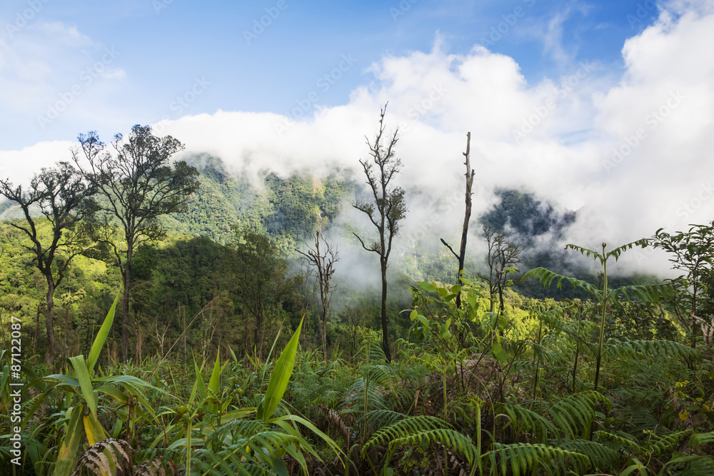 Obraz premium Scenic view of foggy over the mountain after rain (Phu Soi Dao National Park) Thailand.