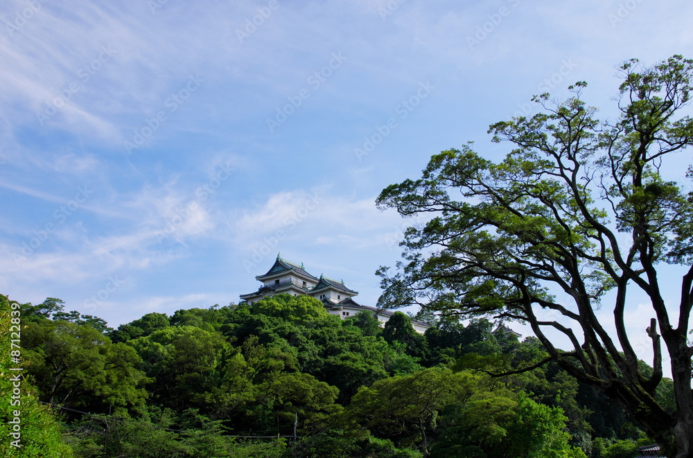 Obraz premium 森の上の和歌山城