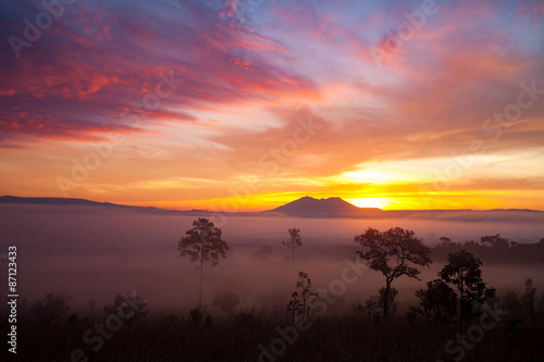 misty morning sunrise in mountain at Thung Salang Luang National