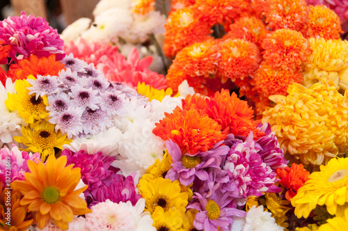 Colorful Variety of Flowers in the Market