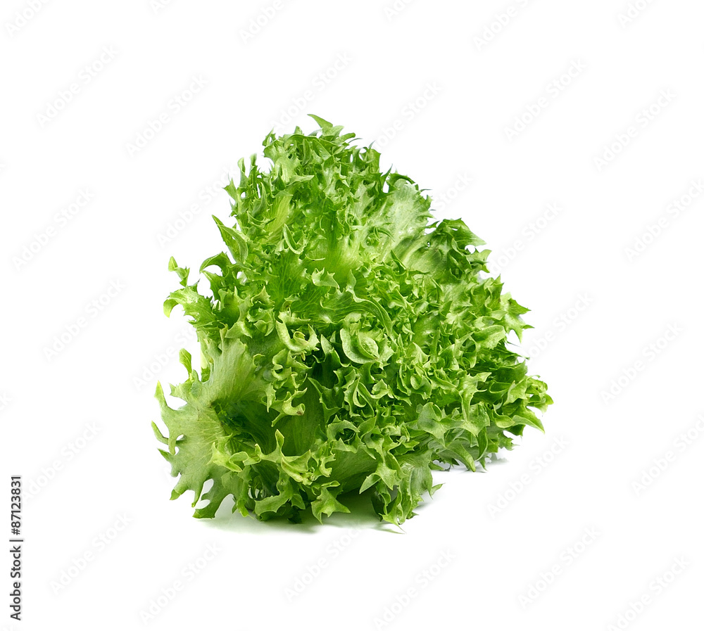 Obraz premium green lettuce leaves isolated on white background