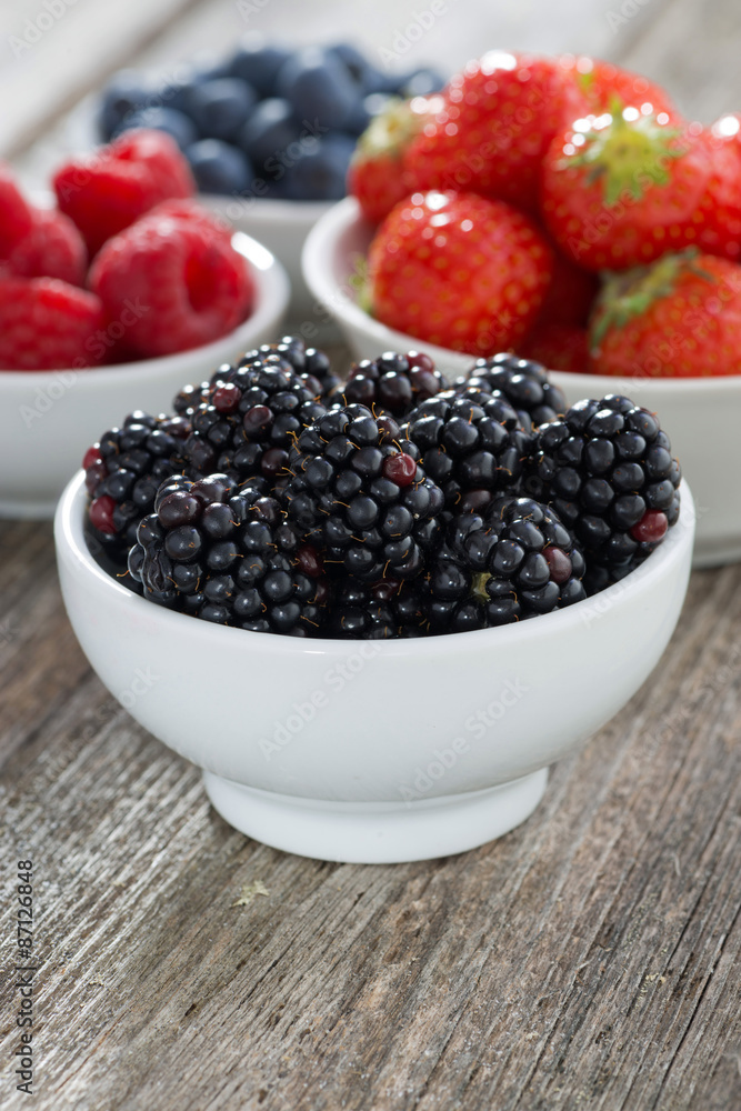 blackberries in bowl and fresh garden berries, vertical blackberries in bowl and fresh garden berries, vertical