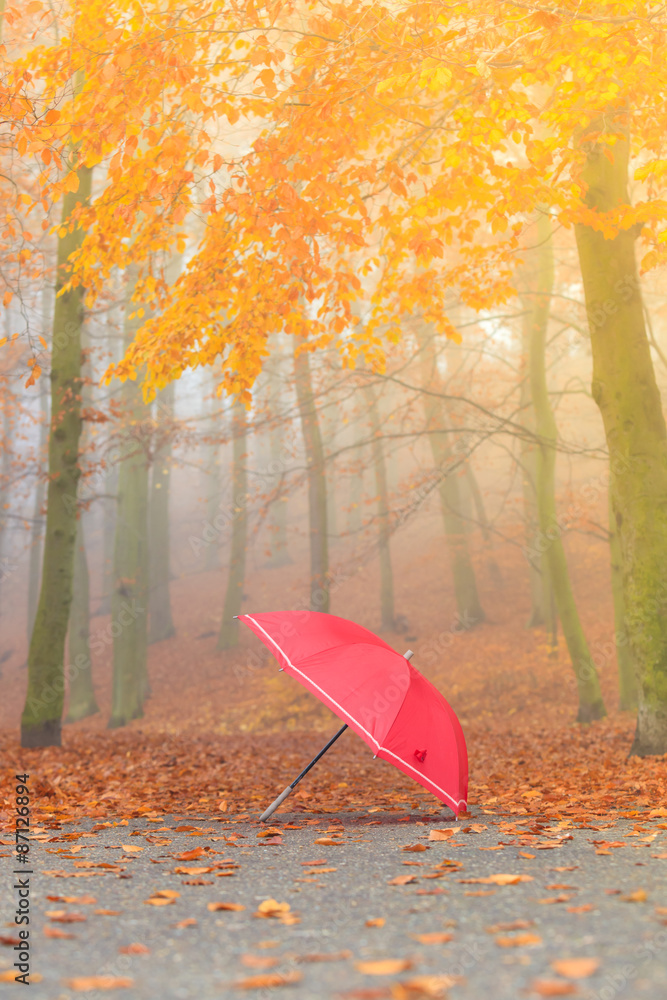 Red umbrella in autumn park on leaves carpet.