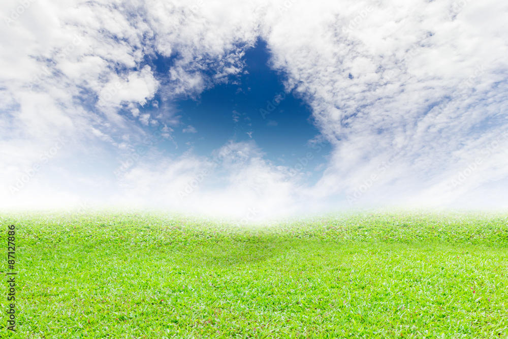 Grass patch on the sky background. For the products according to your preferences