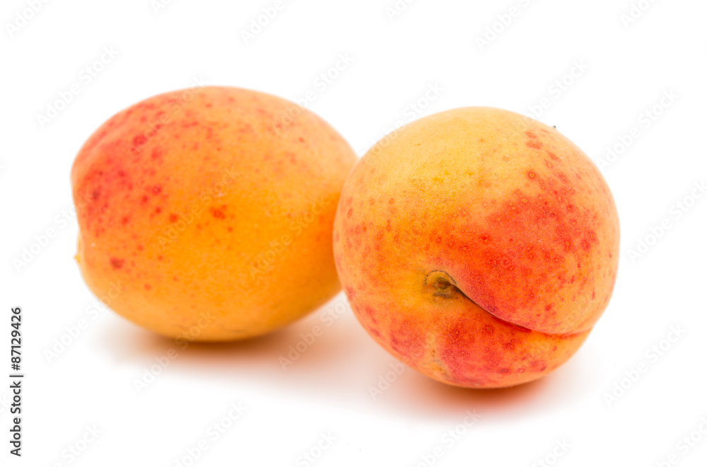 Apricot Apricot