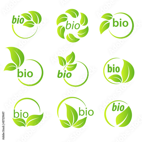 Set of green leaves bio symbol design elements