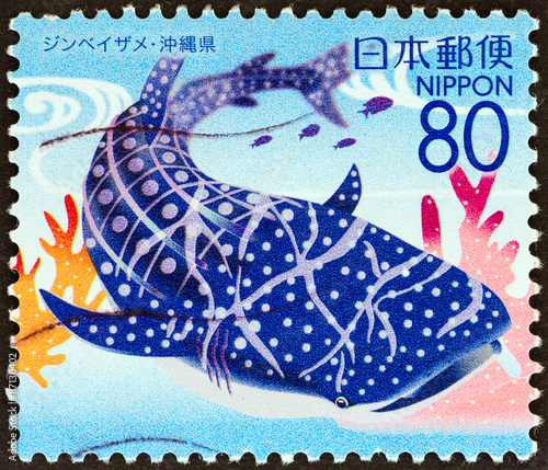 Whale shark, Rhincodon typus (Japan 2007)