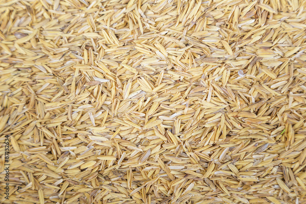 Rice Seeds background