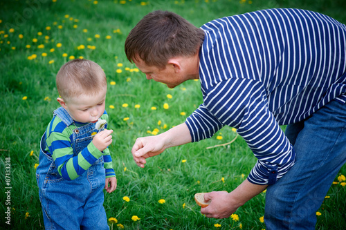 little boy and his father play with dandelions photo