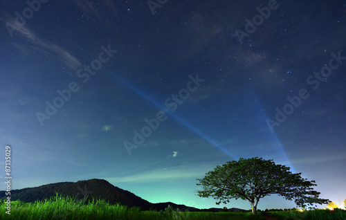 Night sky with the Milky Way over the forest and trees,Thailand 