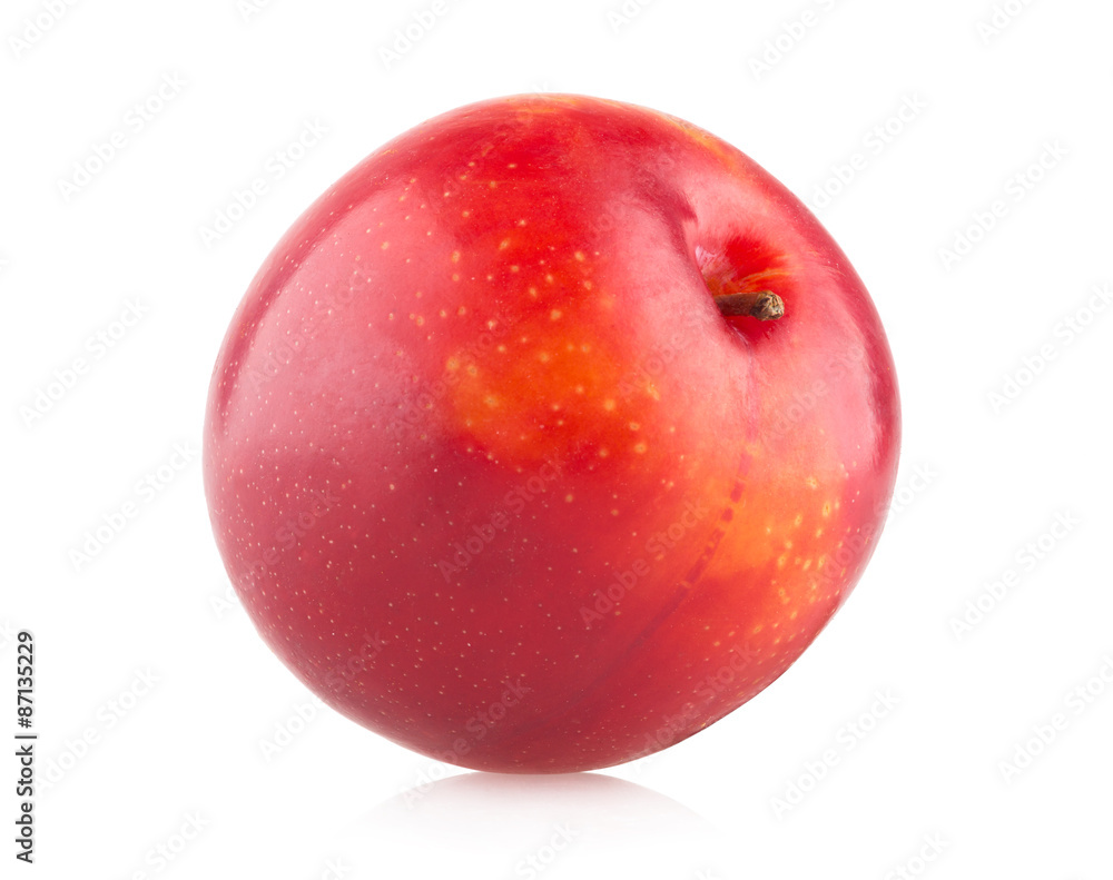 Obraz premium red plum on white background