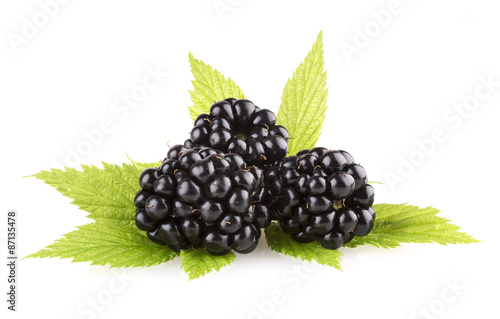 fresh blackberries isolated on white background