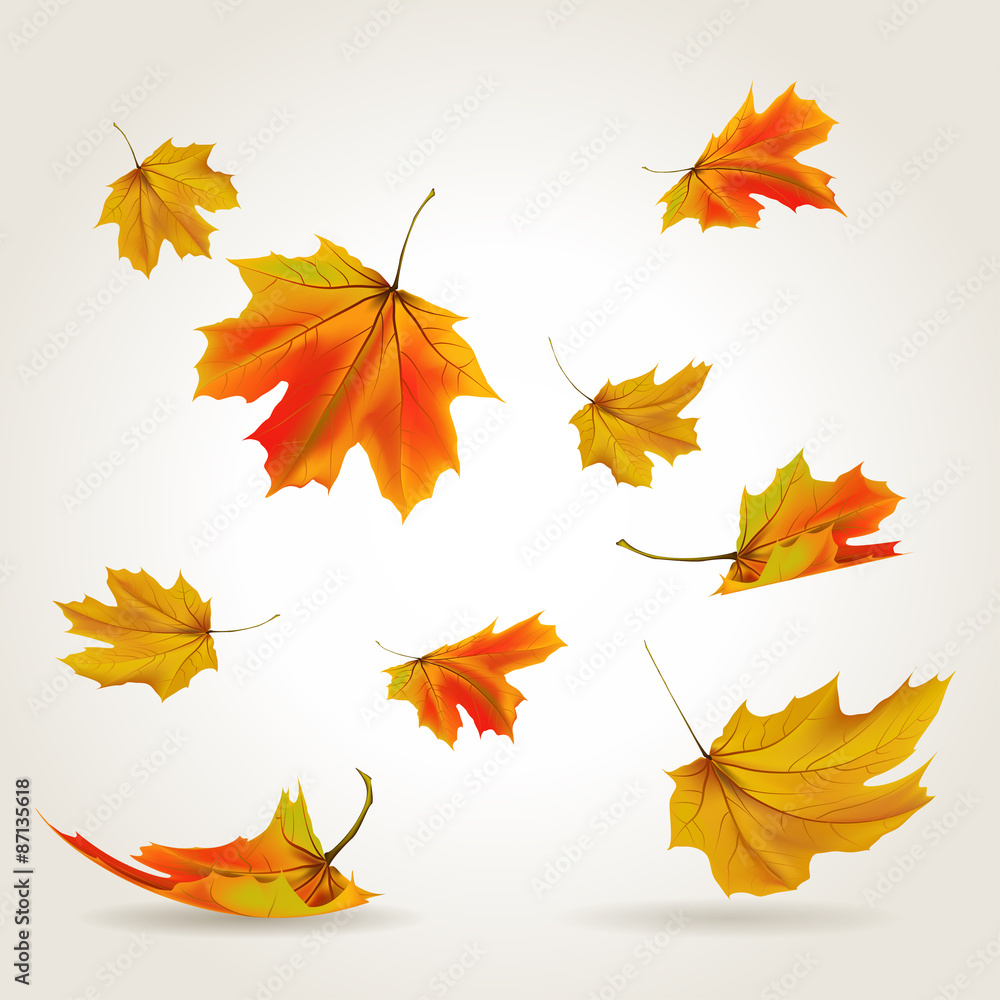 Naklejka premium Falling leaves set, vector illustration