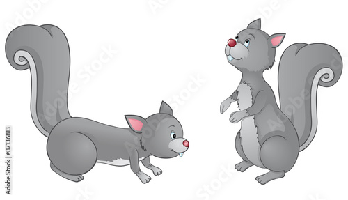 Eichhörnchen 