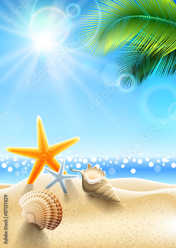 Summer holidays - seashell on tropical beach