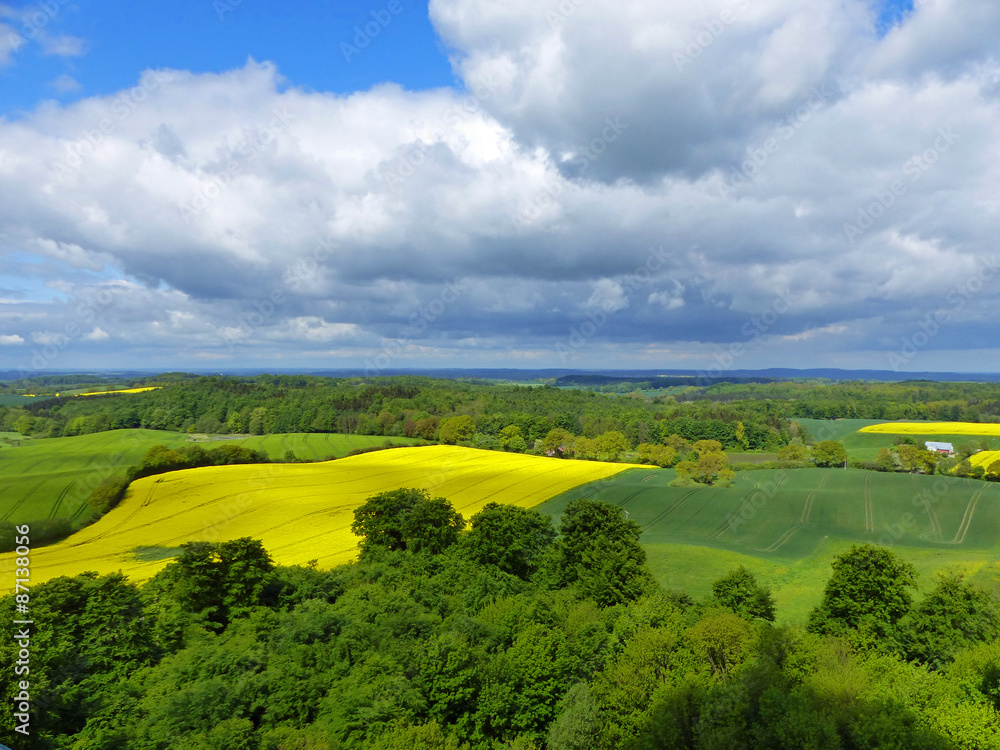 Fototapeta premium Frühling in Schleswig Holstein