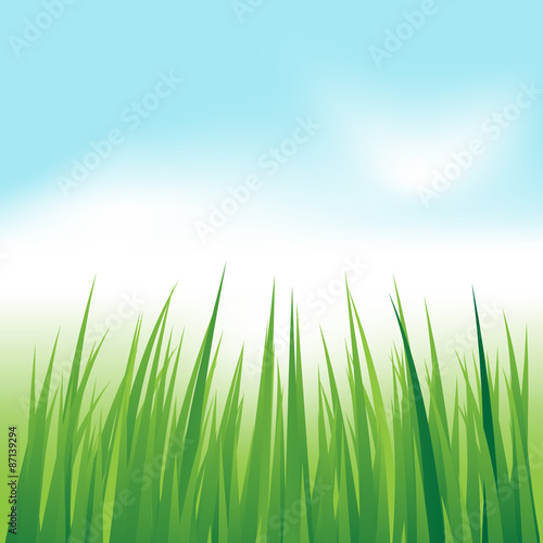 grass in sun light and defocused sky on background