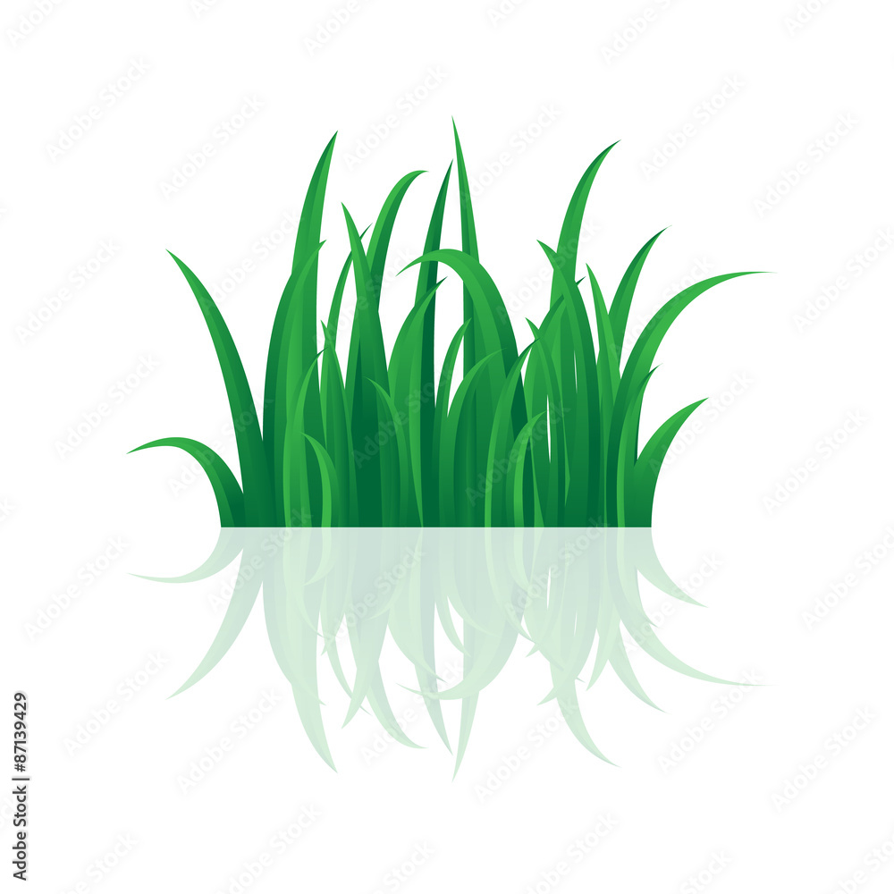 Green grass nature, vector