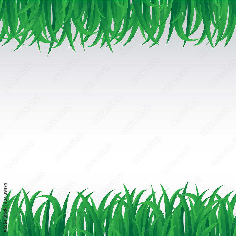Obraz premium Green grass nature, vector