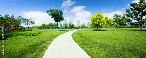 Fototapeta Naklejka Na Ścianę i Meble -  long footpath in meadow of park