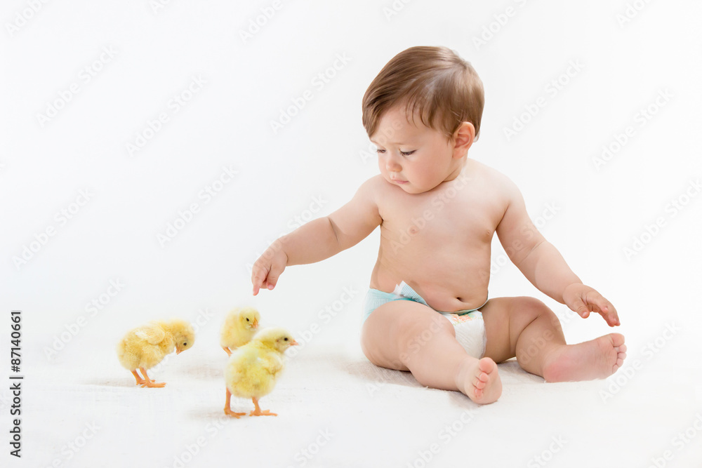 Baby boy in diapers points his finger at cute chicks, playing on an isolated white, horizontal orientation.