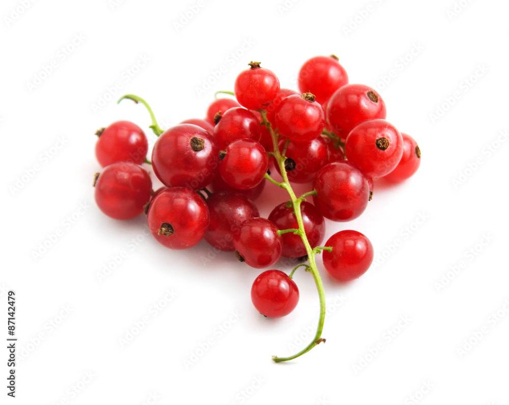 red currant isolated on white background