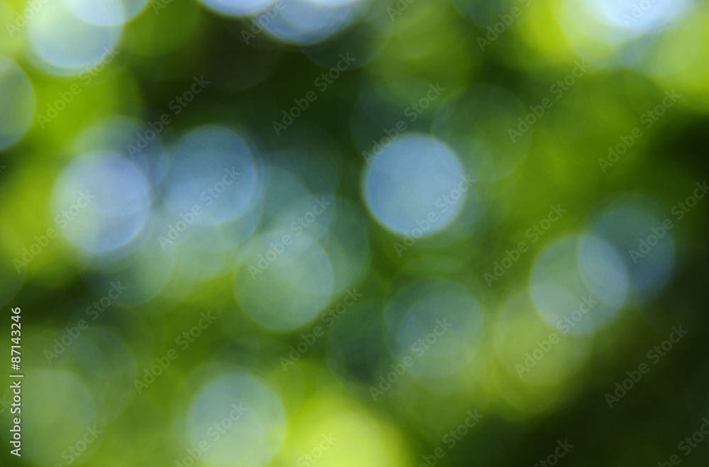 Obraz premium green bokeh
