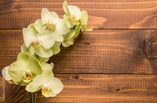 Fototapeta Naklejka Na Ścianę i Meble -  Orchid flowers on wooden background