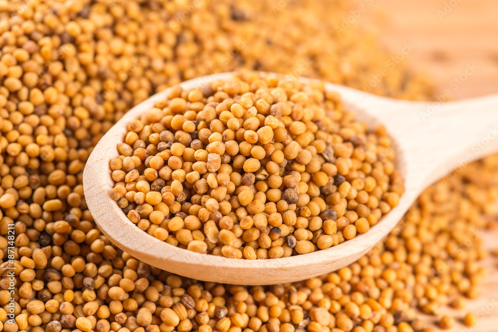 Wooden spoon of mustard seeds on wood table