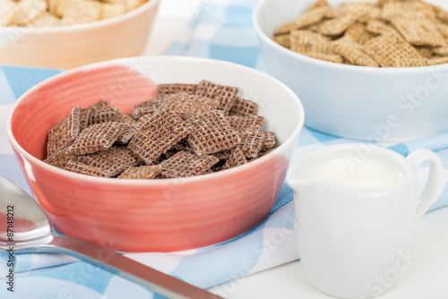 Coco Shreddies - A bowl with chocolate flavoured cereals.
 photo