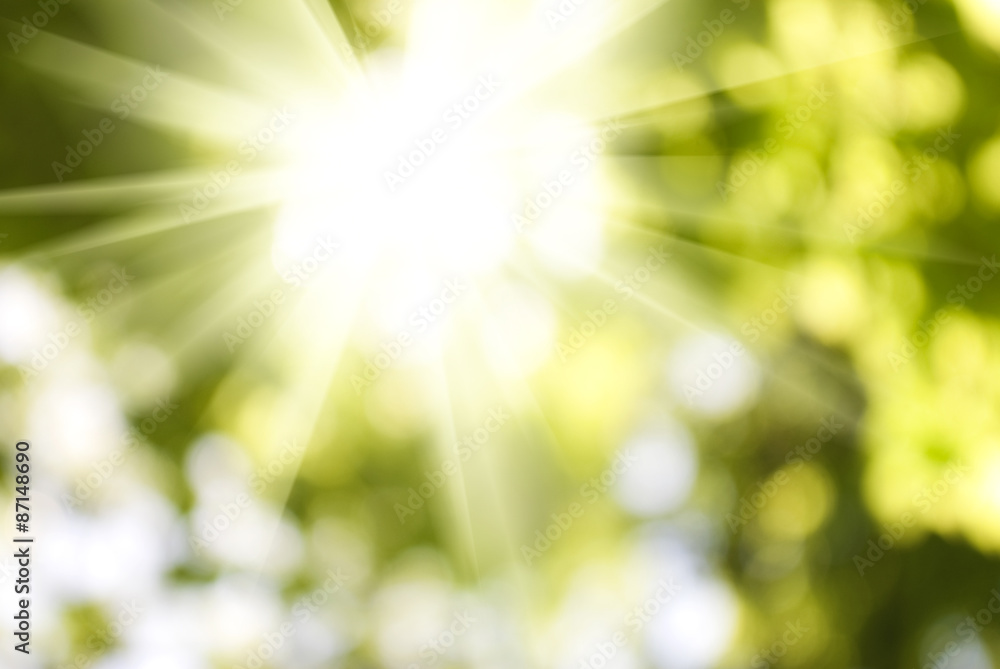 Fototapeta premium green plant background