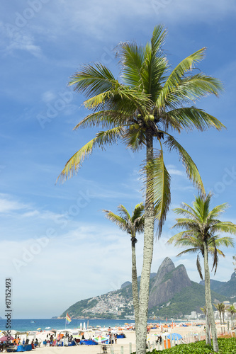 Scenic view of Ipanema Beach Rio de Janeiro Brazil with Two Brothers Mountain through palm trees © lazyllama