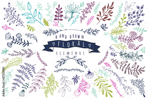 Big collection of different hand drawn floral elements.