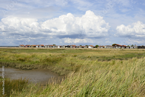 Port ostreicole, Gujan Mestras, Bassin d'Arcachon, Landes de Gascogne, 33, Gironde photo