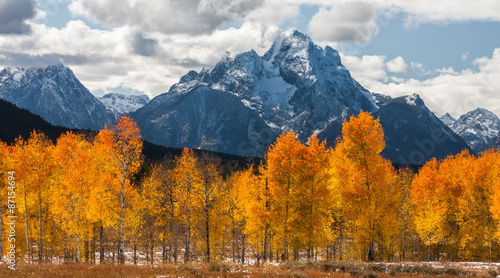 Photographie Fiery Aspens in the Tetons