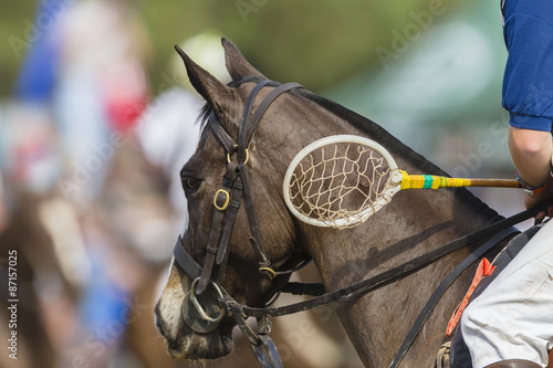 Polo-Cross horse rider racket closeup unidentified equestrian sport