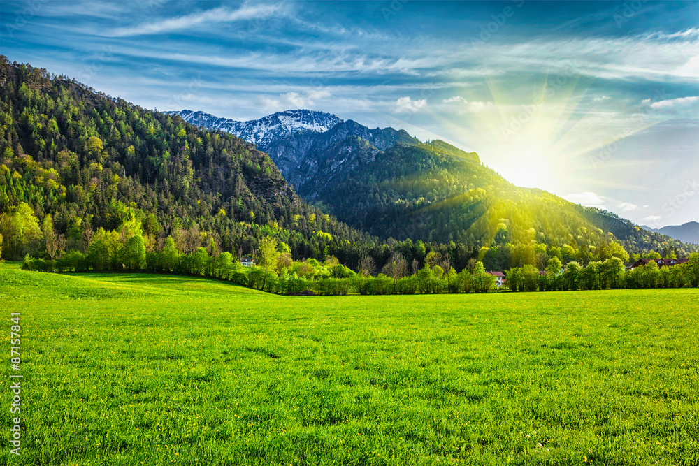 Fototapeta premium Alpine meadow in Bavaria, Germany